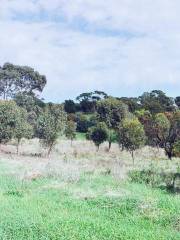 O'Halloran Hill Recreation Park