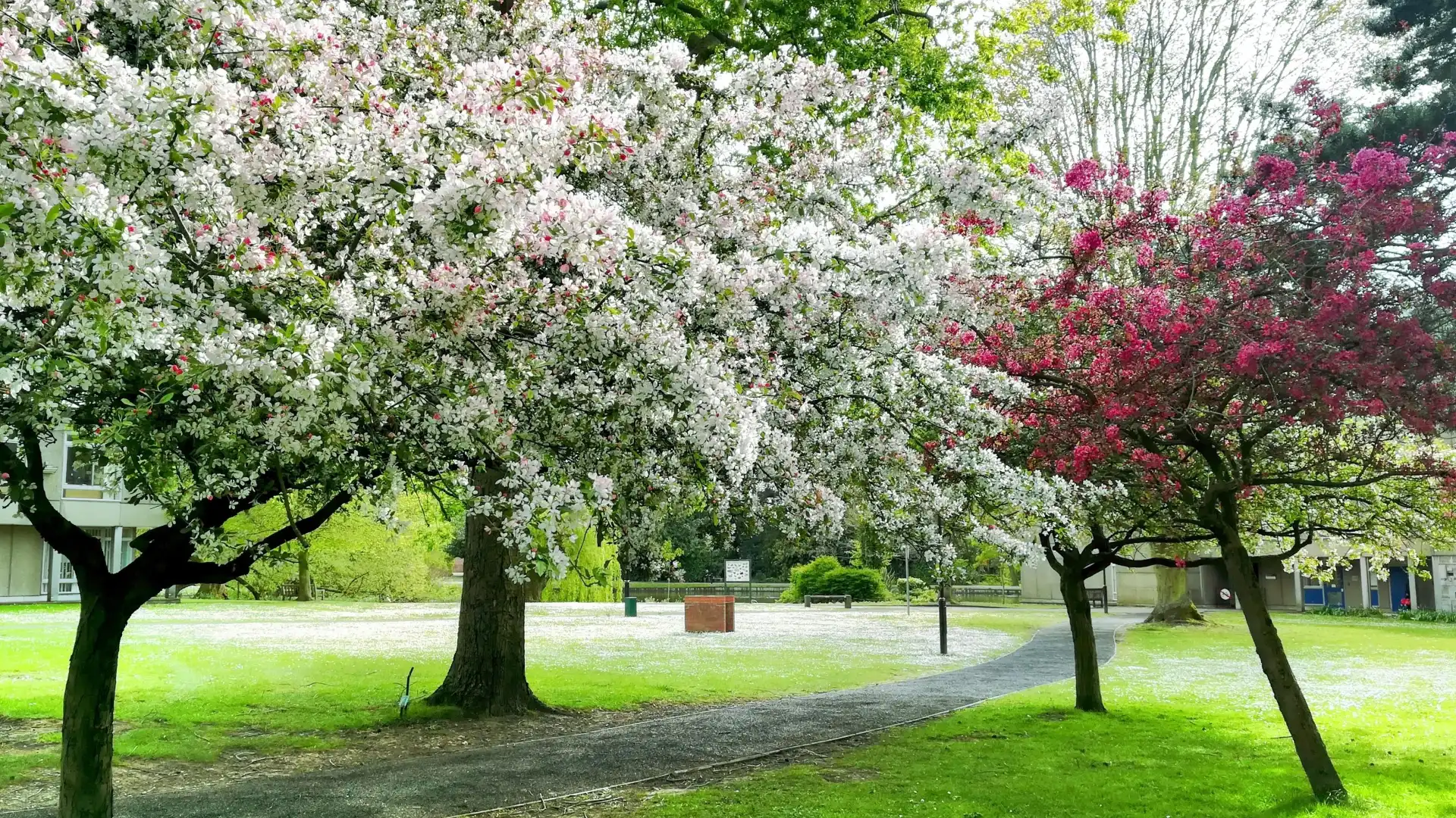 Hotels near University of York