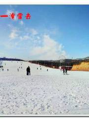 桃林溝滑雪場