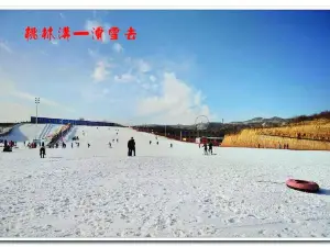 Taolingou Ski Field