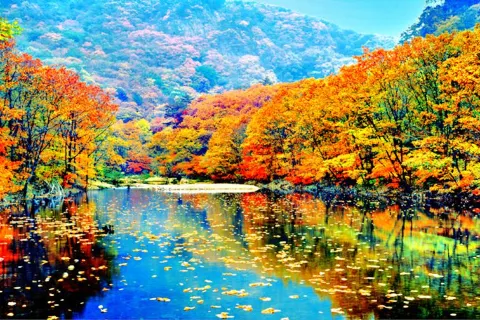 Pushi River Forest Park