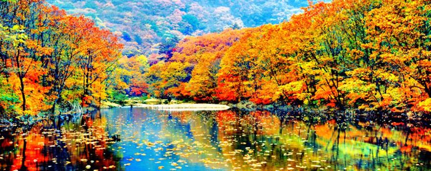 Pushi River Forest Park