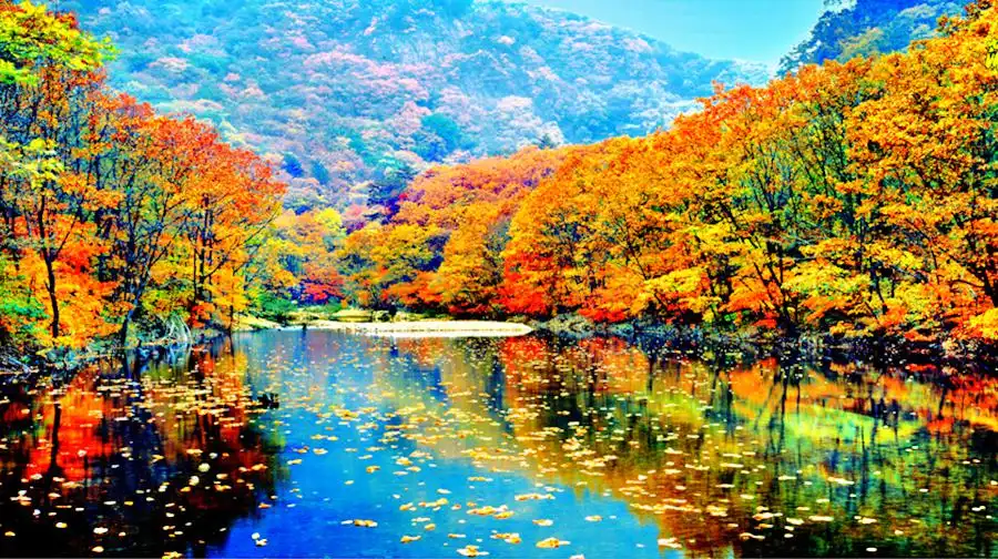 Hotels near Pushi River Forest Park