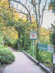 Manly Scenic Walkway