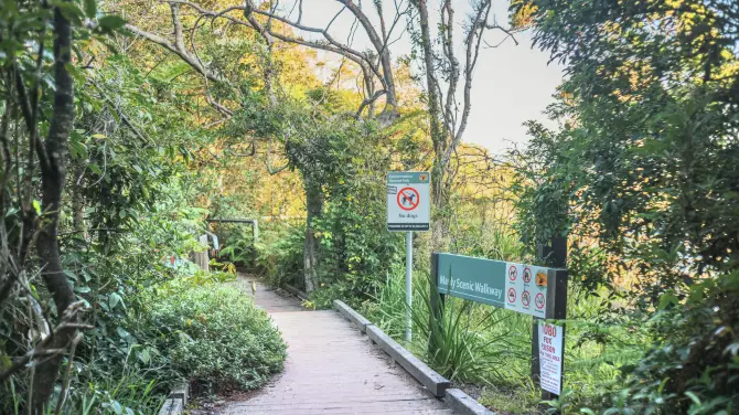 Manly Scenic Walkway