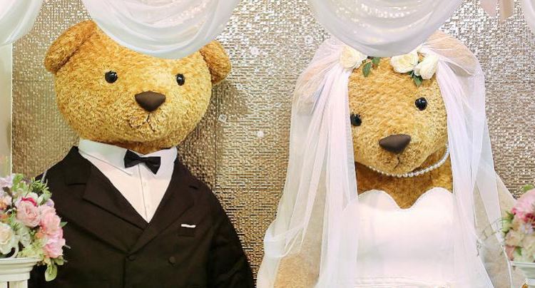 teddy bear gallery