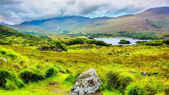 Vườn quốc gia Killarney