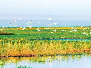 Qianniao Lake