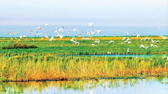 ทะเลสาบพันนก