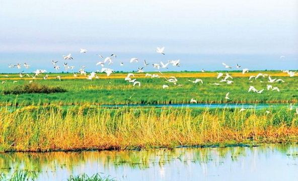 Qianniao Lake