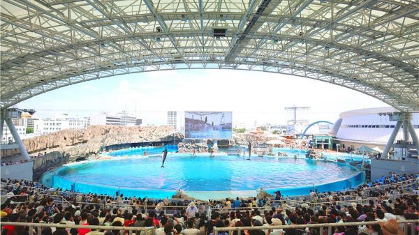 Port Of Nagoya Public Aquarium