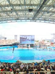 Port Of Nagoya Public Aquarium