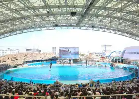 Port Of Nagoya Public Aquarium