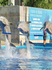 マドリード動物園・水族館