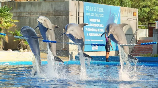 マドリード動物園・水族館