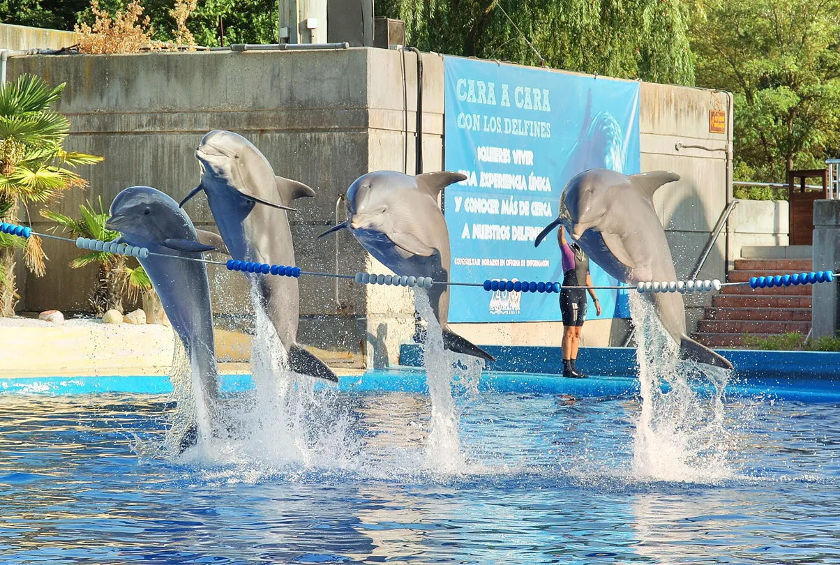 2_Zoo Aquarium de Madrid
