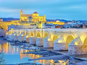 Attrazioni del Giro Notturno a Cordoba Province: le opzioni più popolari