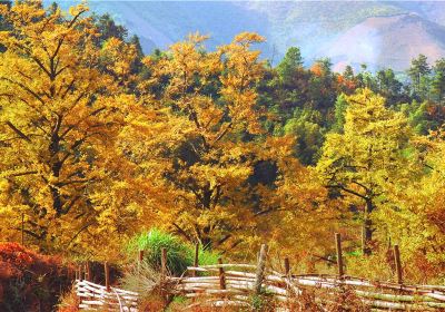 Tongziao Scenic Area