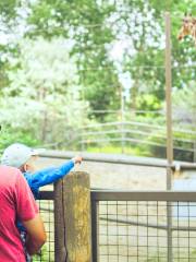 卡爾加里動物園