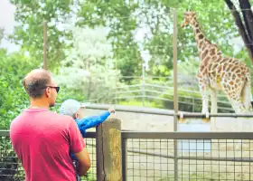 Wilder Institute/Calgary Zoo
