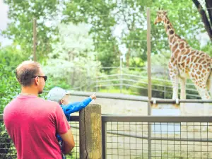 卡爾加里動物園