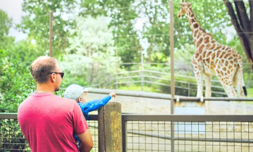 Wilder Institute/Calgary Zoo