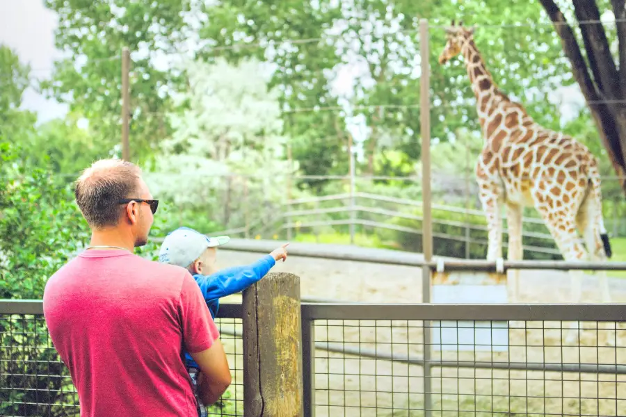 卡爾加里動物園