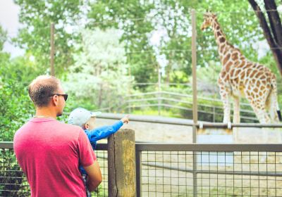 カルガリー動物園