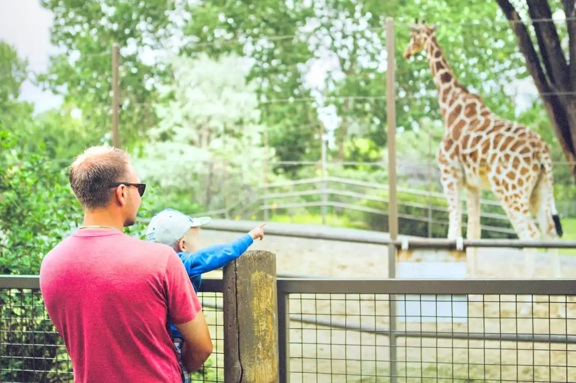 Hotels near Wilder Institute/Calgary Zoo