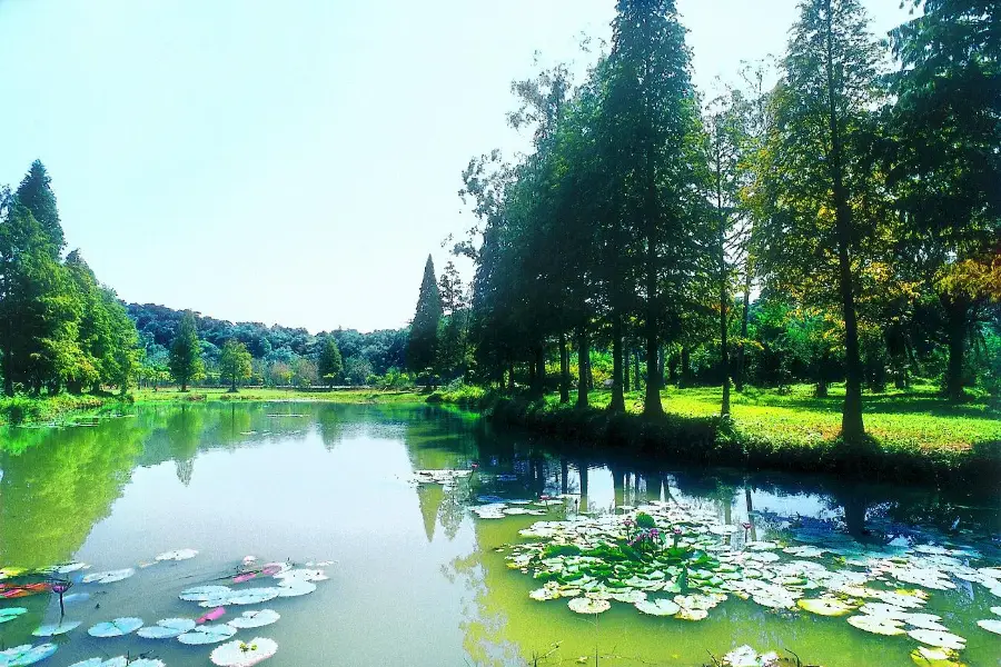 Liangfengjiang National Forest Park