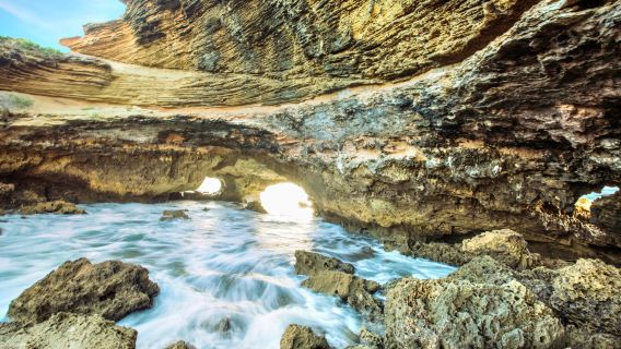澳洲墨爾本莫寧頓半島一日遊【旅行團，詳情諮詢客服】