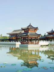 The Nanhu Wetland Park