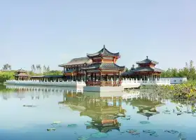 The Nanhu Wetland Park