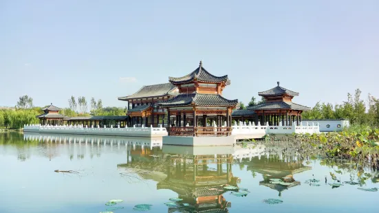 The Nanhu Wetland Park