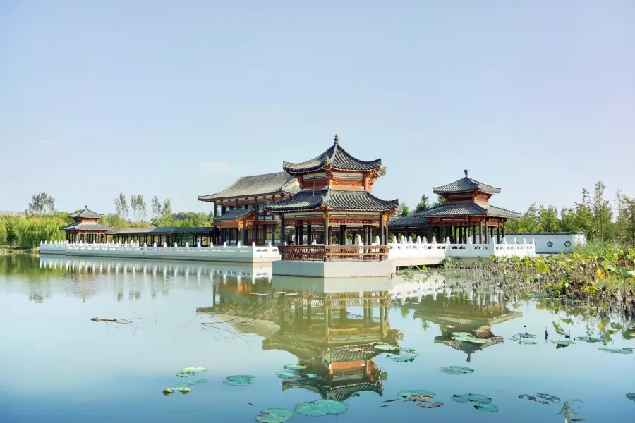 The Nanhu Wetland Park