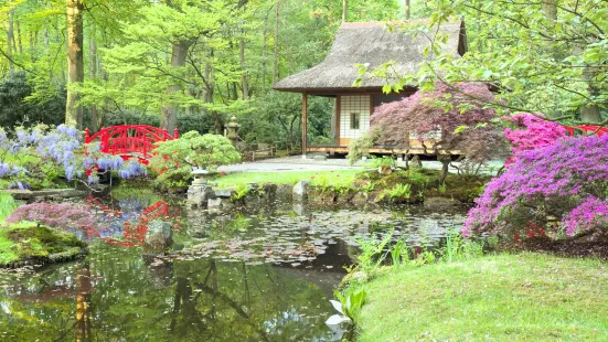 Japanse Tuin