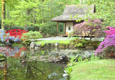 Japanese Garden