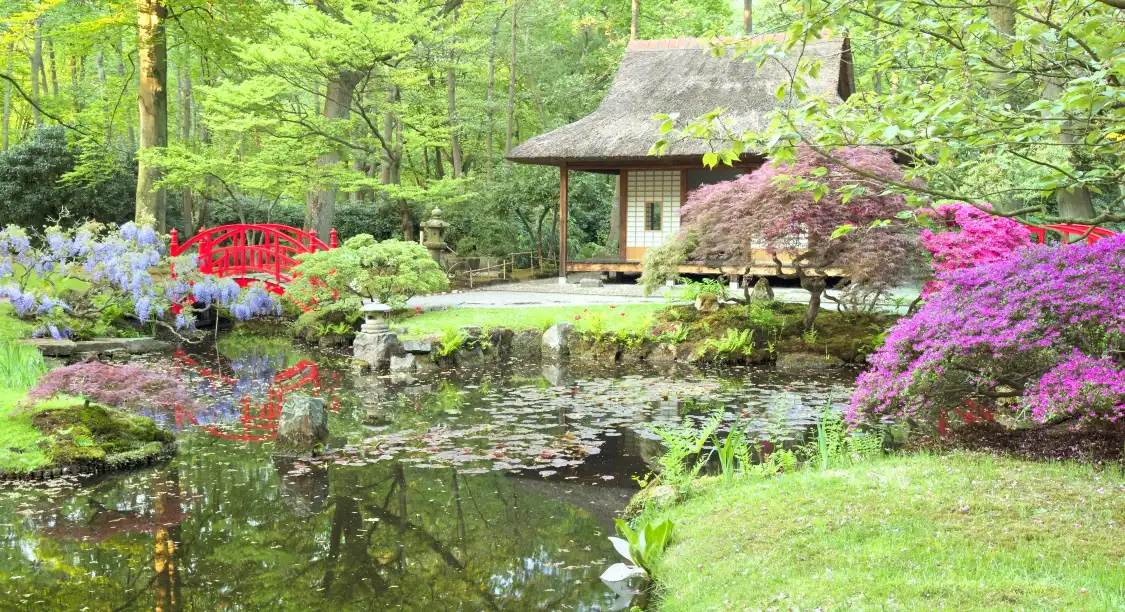 Hotels near Japanese Garden