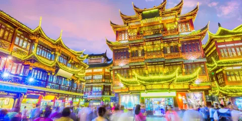 豫園門票成人