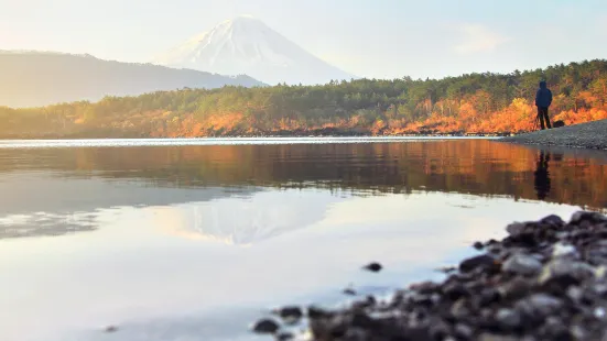 Saiko Lake