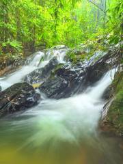 Taman Alam Kuala Selangor