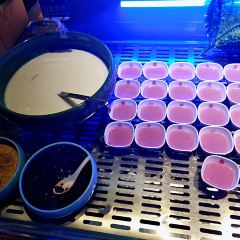 漢釜宮自助烤肉海鮮火鍋張用戶圖片