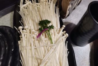 熊喵来了火锅(中街大悦城B馆创始店) User Photo