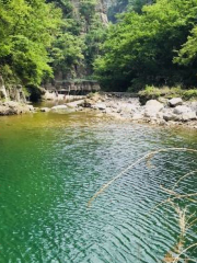 Manghe River Giant Salamander Observation Station, Shanxi