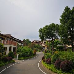 佛冈碧桂园假日温泉酒店(官方直营店)·餐厅 User Photo