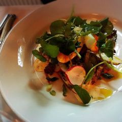 The Bon Vivant User Photo