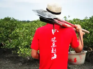 Mangrove Happy Beach Comb