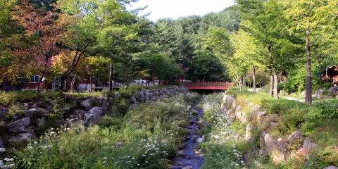 太白高原自然休養林