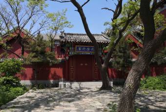 泰安雲巢賓館（泰山頂店）·餐廳用戶圖片