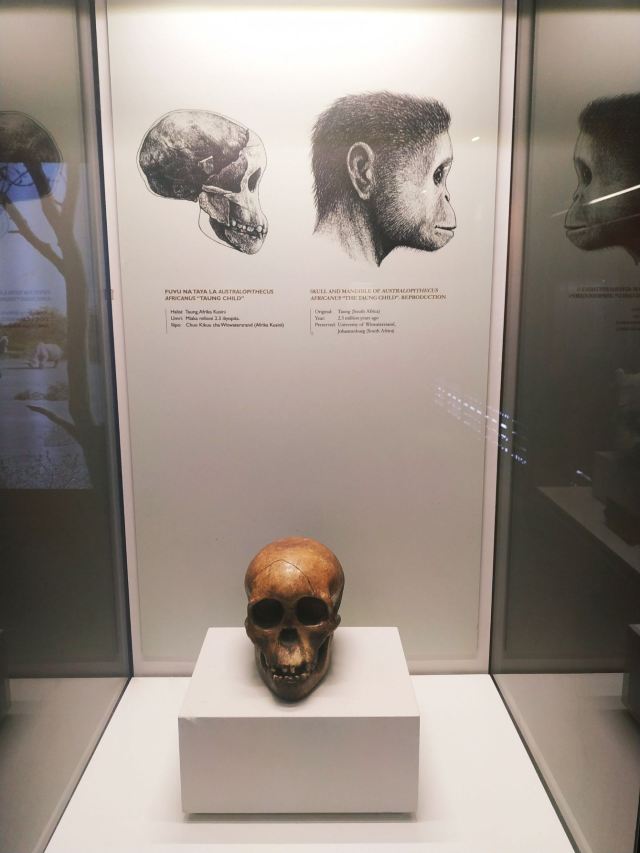 National Museum of Tanzania